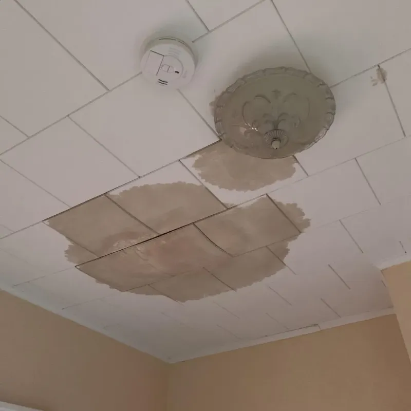 Ceiling Water Damage Repair in Port Washington, WI