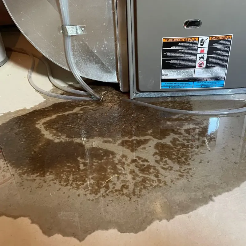 Pipe Burst and Leak Restoration in Port Washington, WI